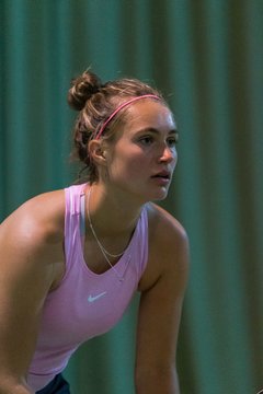 Lilly Düffert 523 - Advent Cup